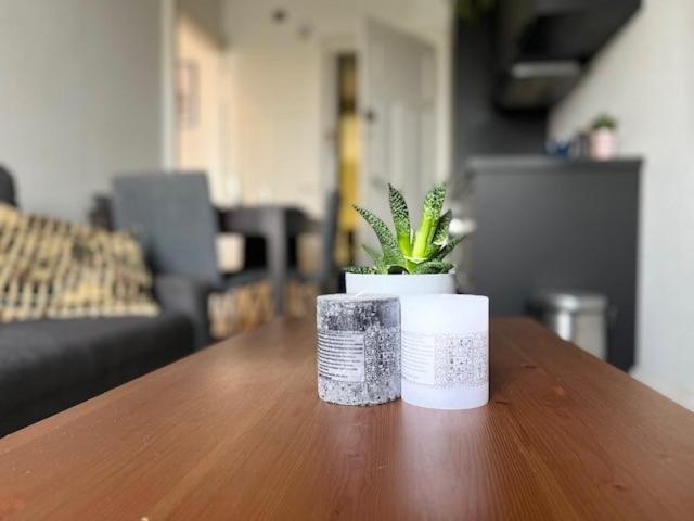 Cosy Rent Strasbourg Orangerie Tv Wifi Cathedrale 아파트 외부 사진
